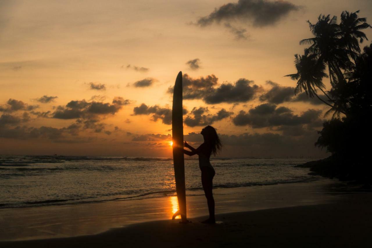 Mellow Hostel Sri Lanka آهانغاما المظهر الخارجي الصورة